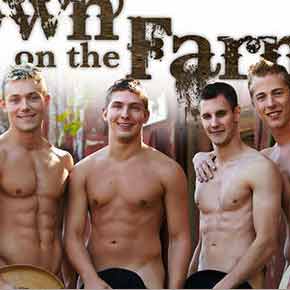 DVD-Gay---Down-On-The-Farm