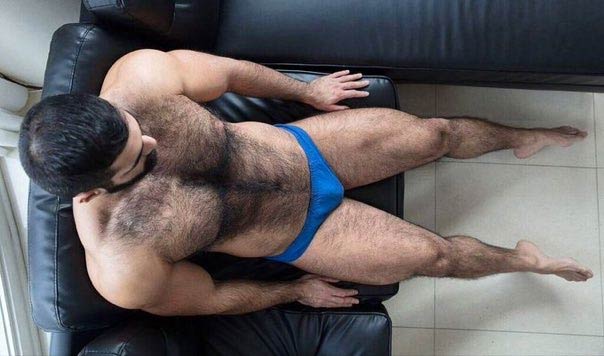 tesão gay homens peludos pentelhudos 8