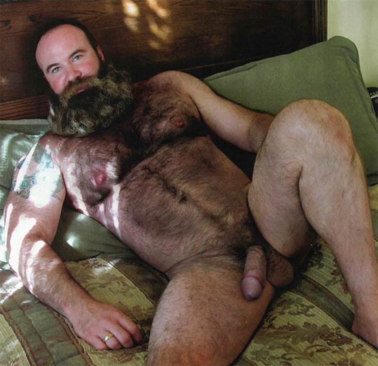 gay bear peludo gordo