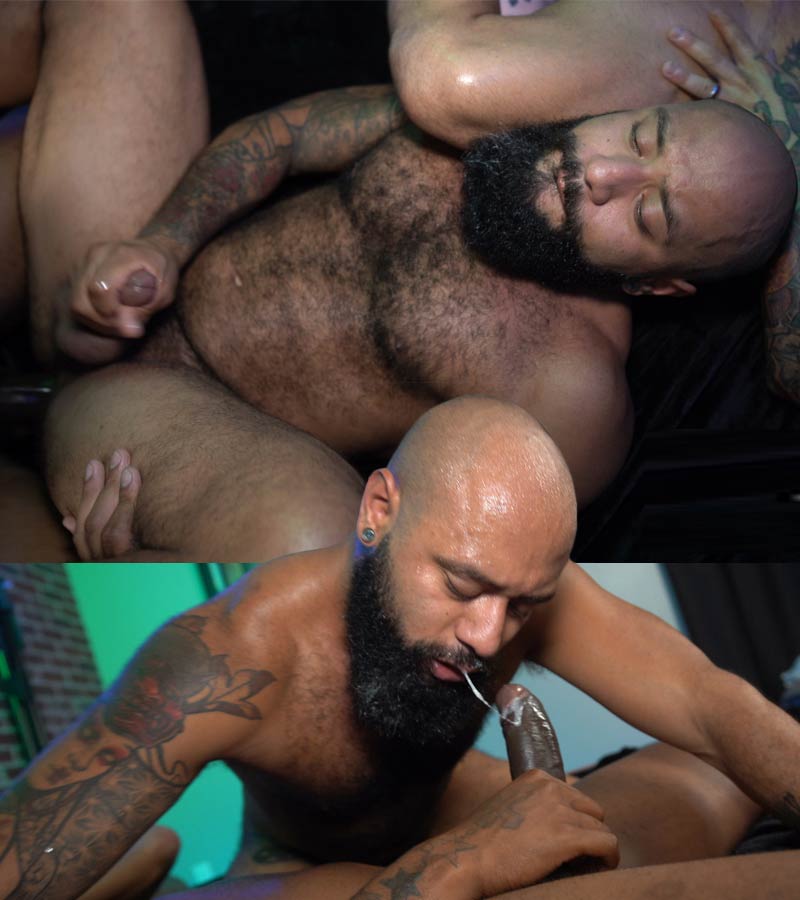 Leo Forte gay black hairy porn
