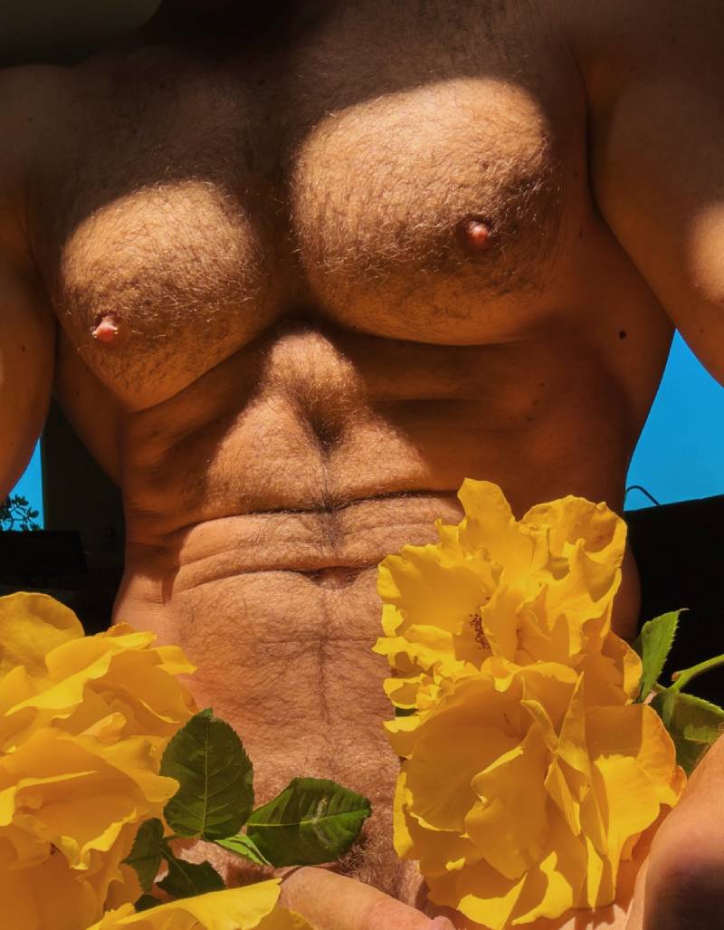 xvideos musculo duro porno gay peitudo