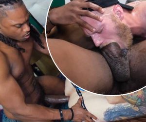 Anaconda fode forte e deixa galego de cu aberto