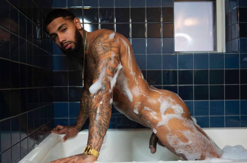 Large uncut black dick in erotic portrait