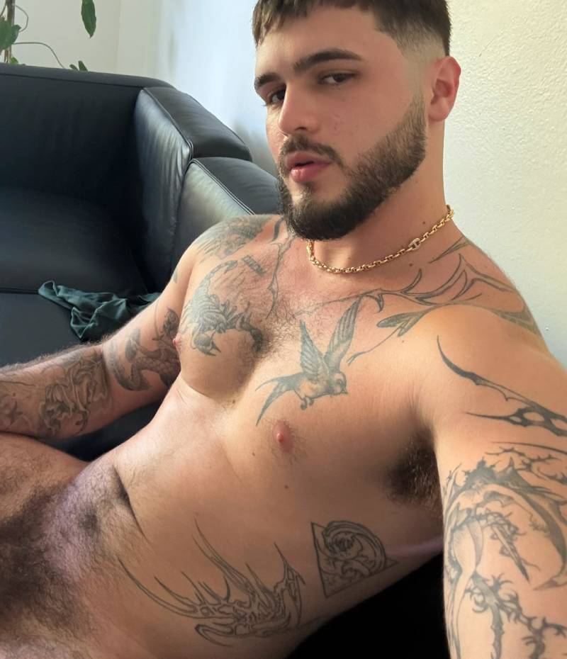 Hairy Men Hairy Dicks machos ao natural 4