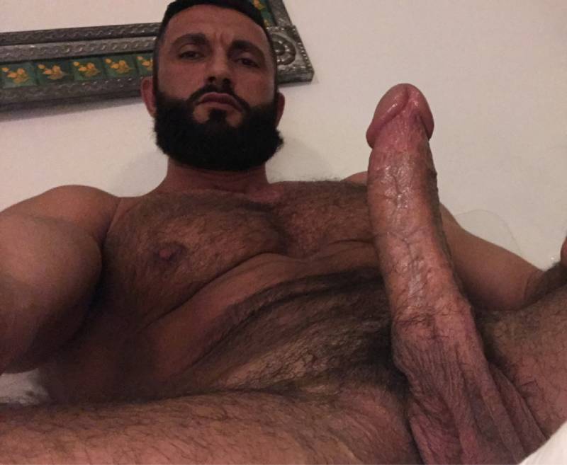 macho peitoral forte peludo do peito ao pubis, rola durona nudes